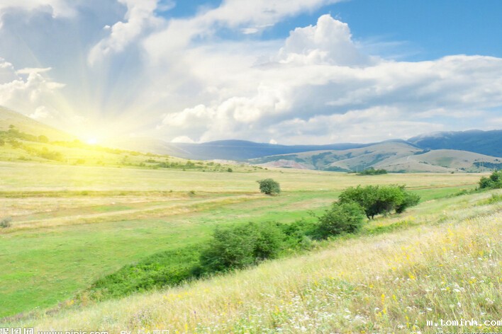 不同环境对压力开关的不同影响